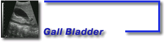 Gall Bladder